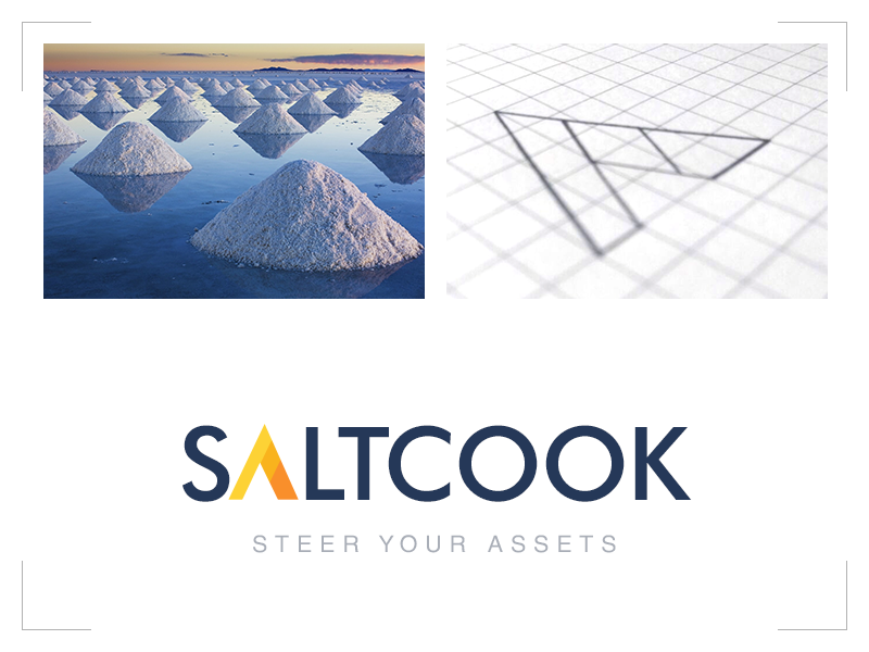 Salt Cook